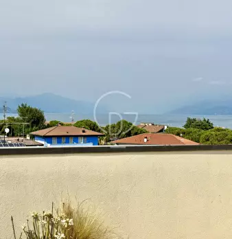 Foto annuncio 31