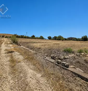 Foto annuncio 12