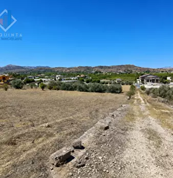 Foto annuncio 13