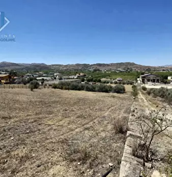 Foto annuncio 14