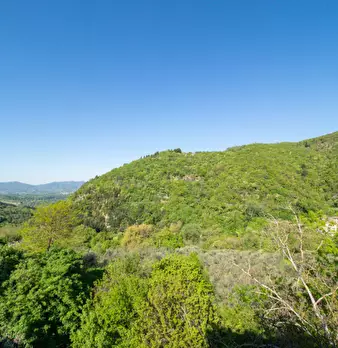 Foto annuncio 24