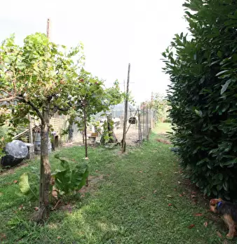 Foto annuncio 31