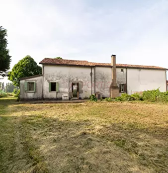 Foto annuncio 13