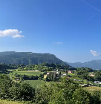 Foto annuncio 1
