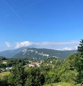 Foto annuncio 3