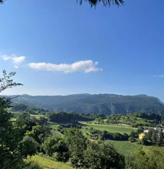 Foto annuncio 4