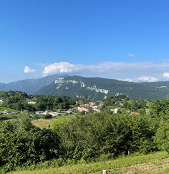 Foto annuncio 5