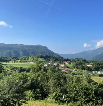 Foto annuncio 6