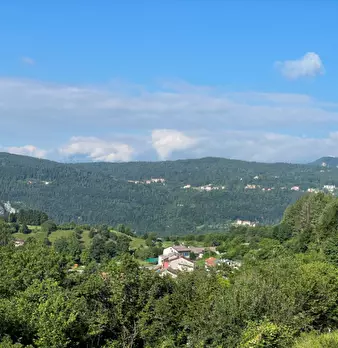 Foto annuncio 7