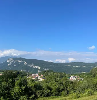 Foto annuncio 10