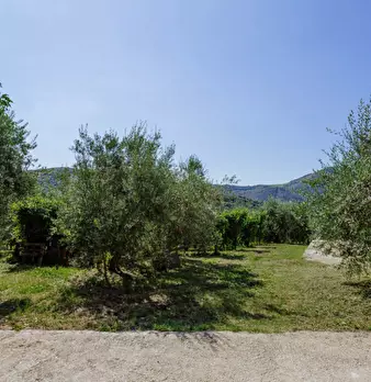 Foto annuncio 45