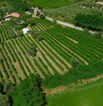 Foto annuncio 48