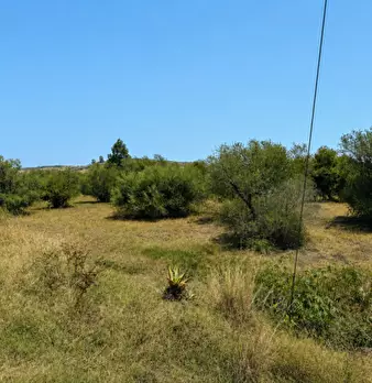 Foto annuncio 7