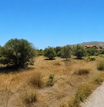 Foto annuncio 9