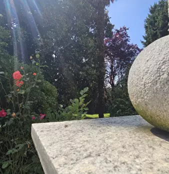 Foto annuncio 52