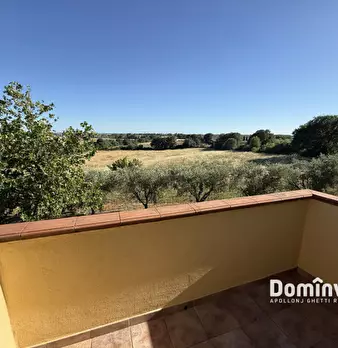 Foto annuncio 20