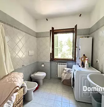 Foto annuncio 26