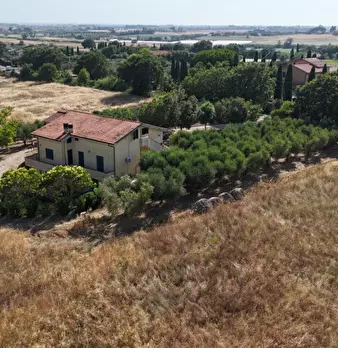 Foto annuncio 30