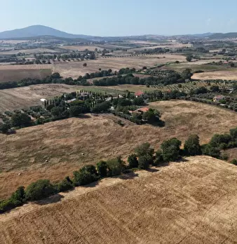 Foto annuncio 34