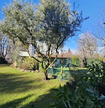 Foto annuncio 38