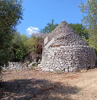 Foto annuncio 5