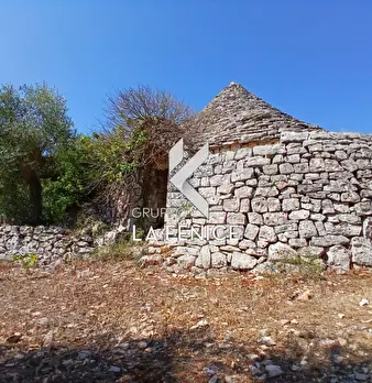 Foto annuncio 9