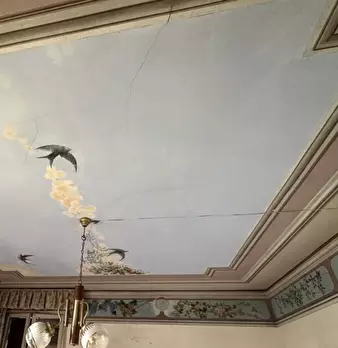 Foto annuncio 42