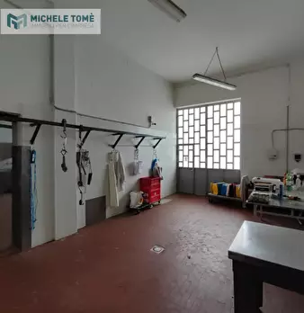 Foto annuncio 11