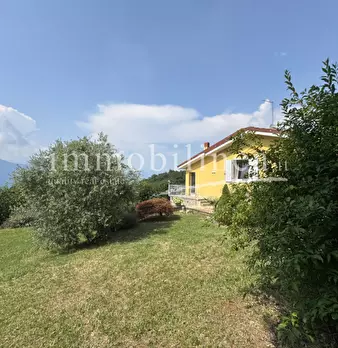 Foto annuncio 7
