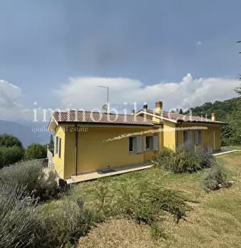 Foto annuncio 9