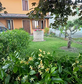 Foto annuncio 32