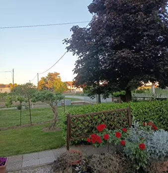 Foto annuncio 34