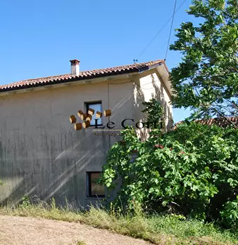 Foto annuncio 10