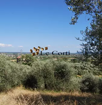 Foto annuncio 14