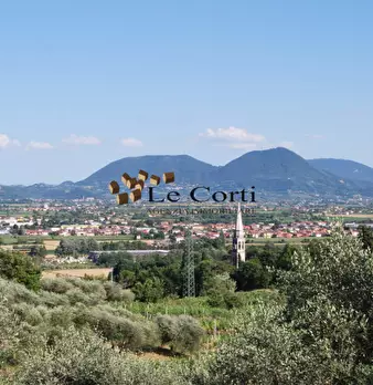Foto annuncio 15
