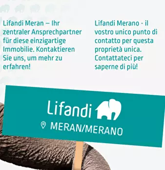 Foto annuncio 10