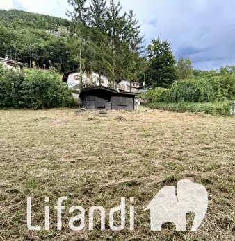 Foto annuncio 4