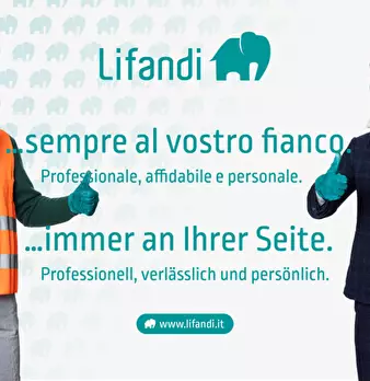Foto annuncio 16