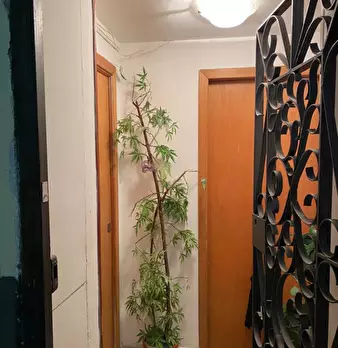 Foto annuncio 2