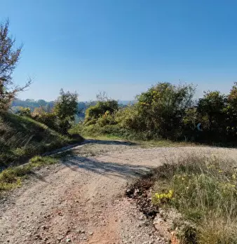 Foto annuncio 18