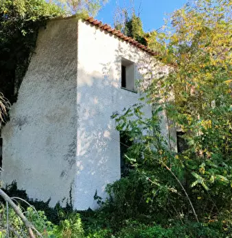 Foto annuncio 28