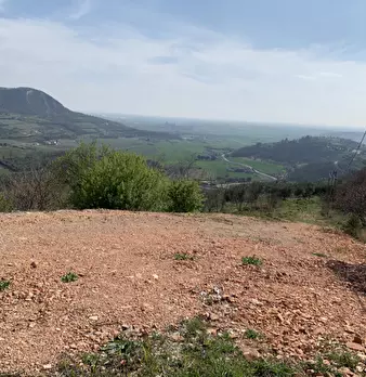 Foto annuncio 6