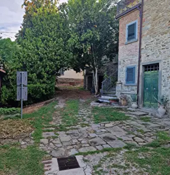 Foto annuncio 7
