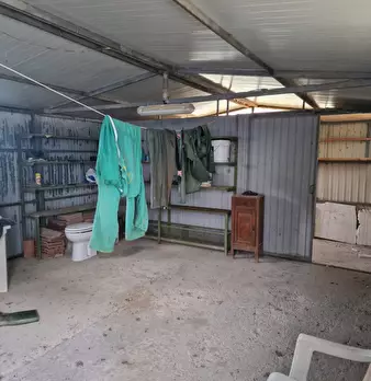 Foto annuncio 27