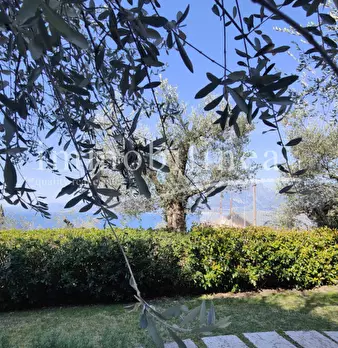 Foto annuncio 5