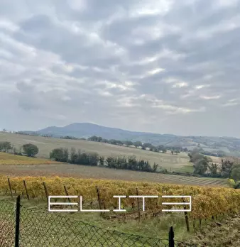 Foto annuncio 9