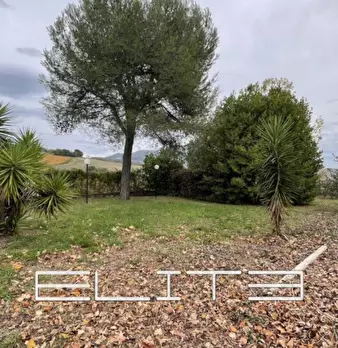 Foto annuncio 10