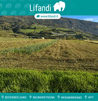 Foto annuncio 1