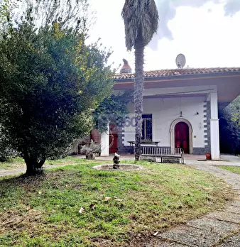Foto annuncio 1