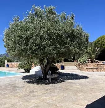 Foto annuncio 7